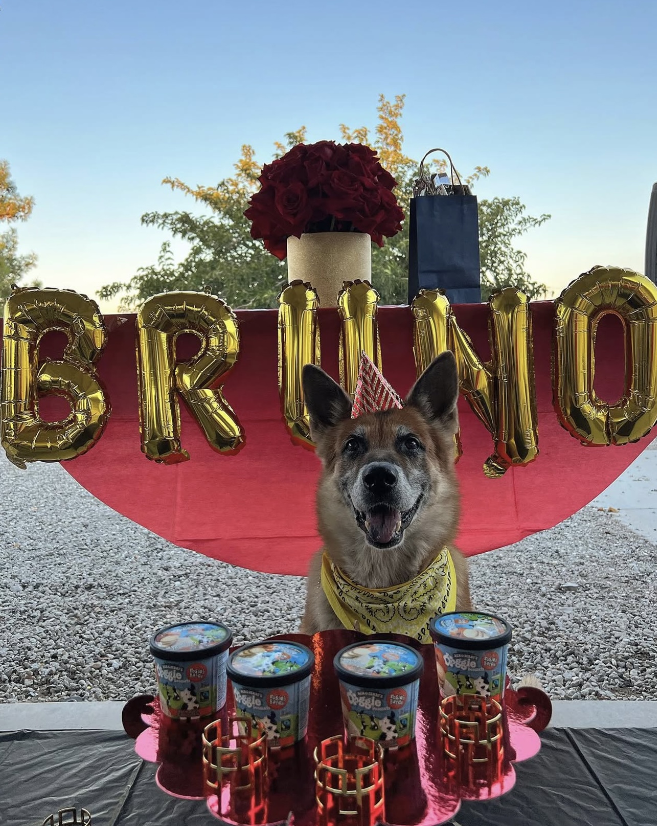 Bruno
