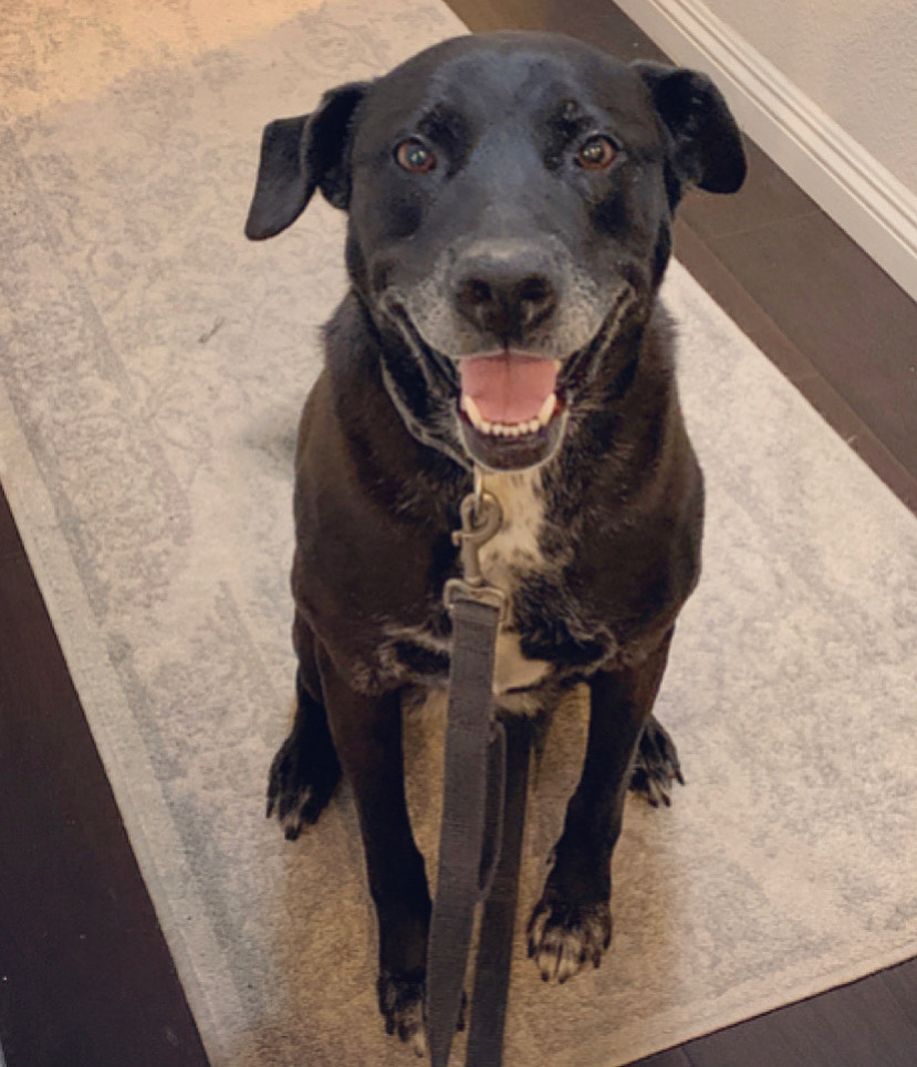 jett
