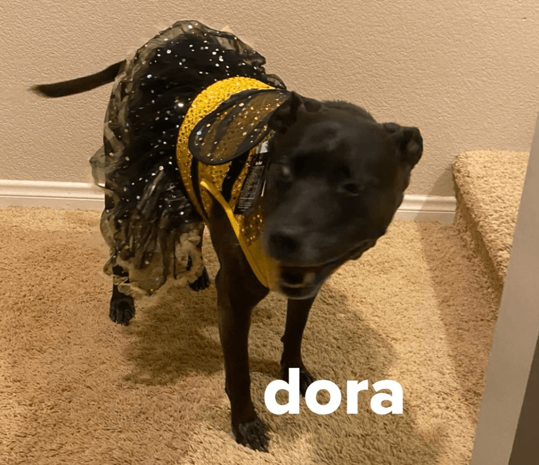 Dora
