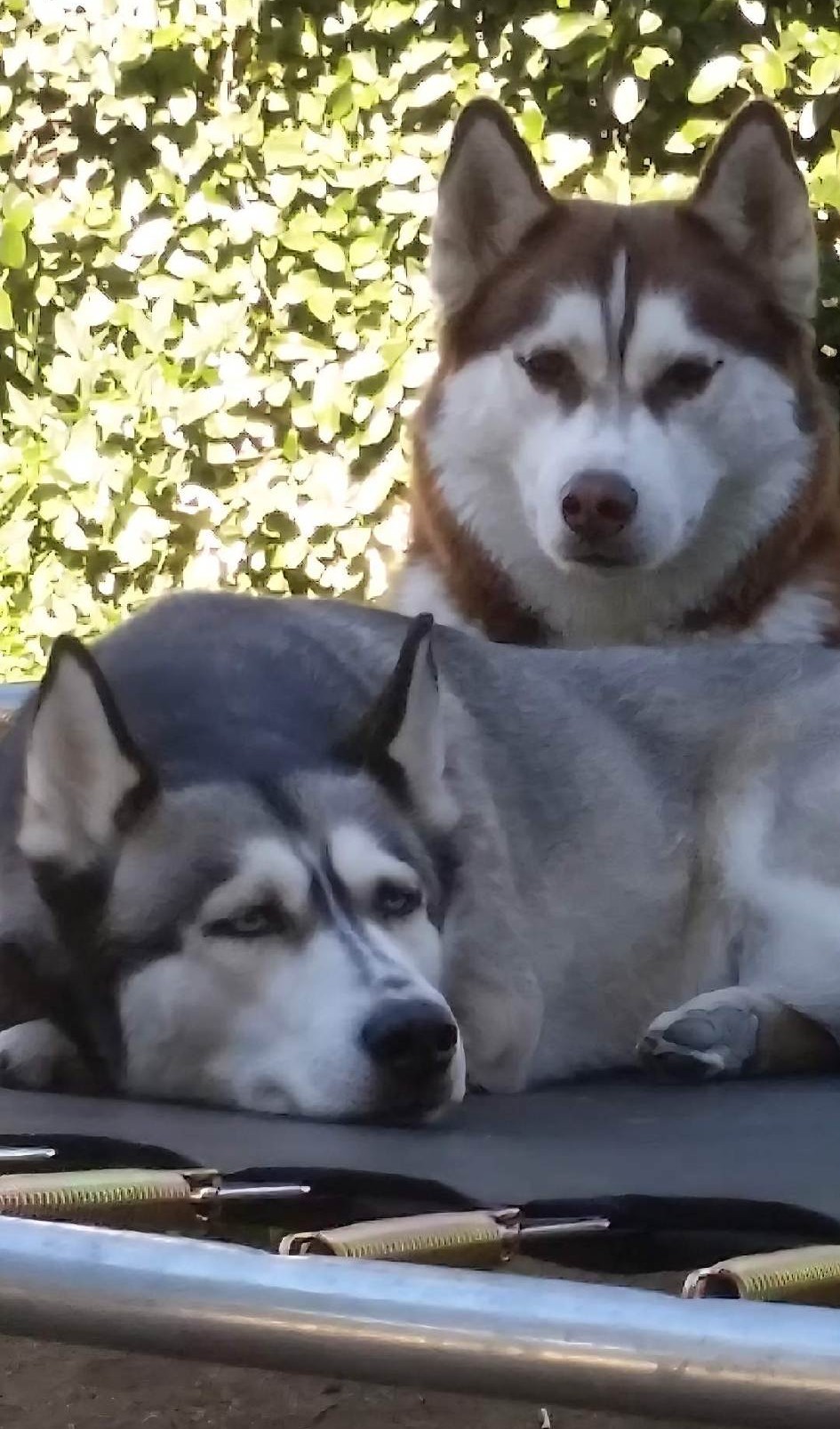 Sasha with her sister