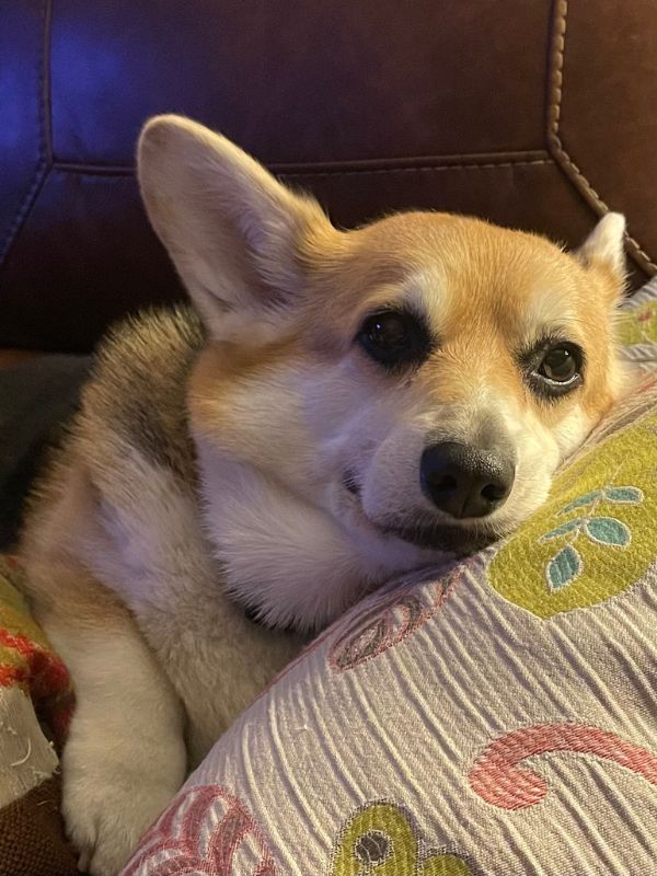 Ellie