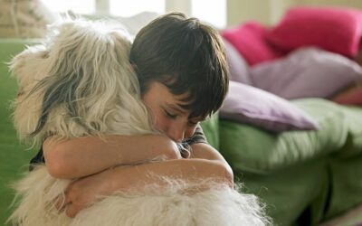 How to Talk With Your Children About Pet Euthanasia