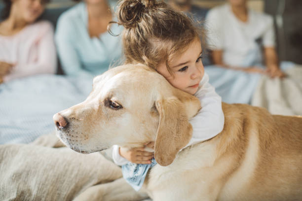 Young girl cuddling with her senior dog at home 