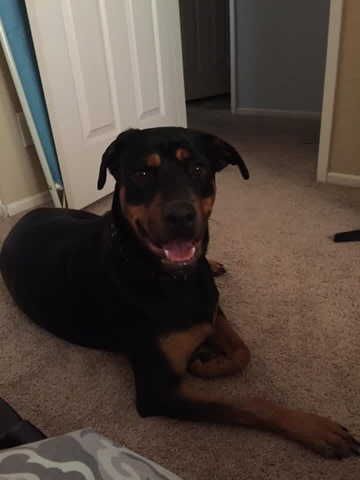 Daisy